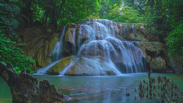小僵尸射飞鸟